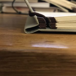DayPocket Strap