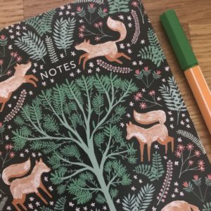 Folk Foxes