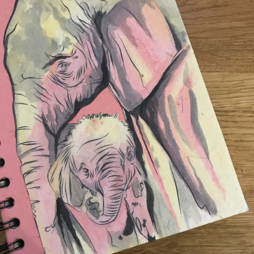 elephant notebook - pink