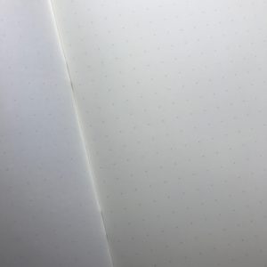 IMG 7101