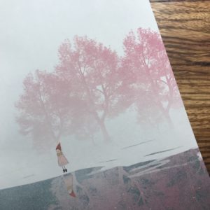 IMG 7443