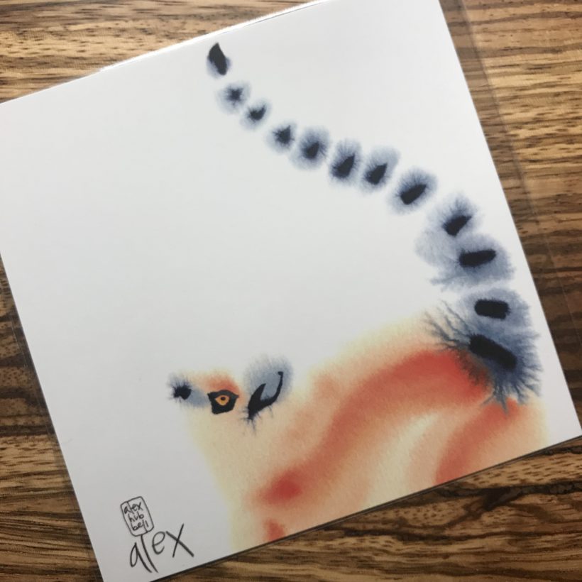 100 Beautiful Mistakes - kickstarter find make 100