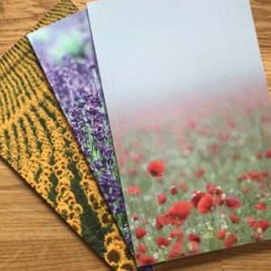 IMG 7975