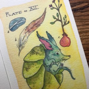 IMG 9880