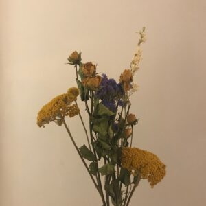 IMG 4500