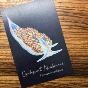 Postcard