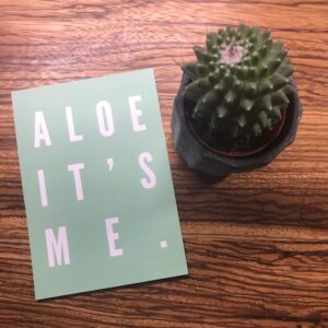 Barrys Cactus Club Aloe Its Me