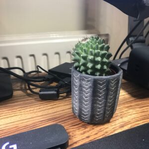 Barrys Cactus Club Nipple Cactus