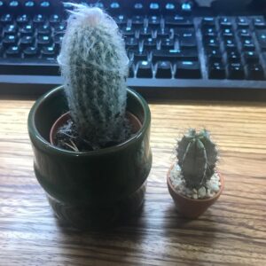 Little And Large