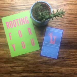 Cactus Club 2