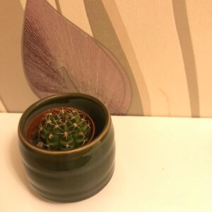 IMG 0130