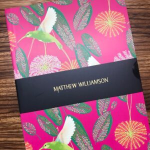 Hummingbird 3