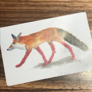 IMG 0526