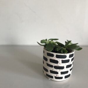 IMG 0944