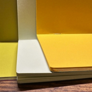 Uglybooks4