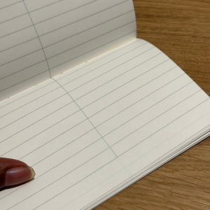 Instagram Posts NotesinaBook Blackwing Clutch