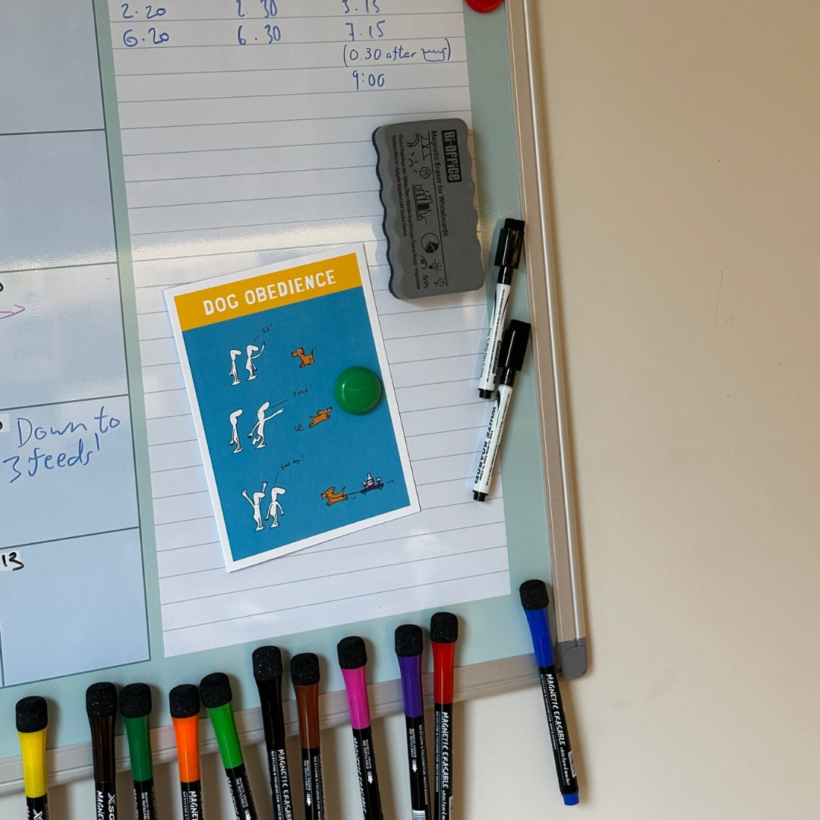 white board with magnetic pens stuck to the board