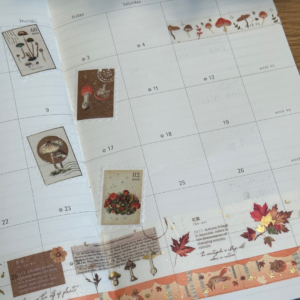 Instagram Posts NotesinaBook Maple Dreams November
