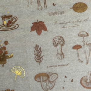 Instagram Posts NotesinaBook Mushroom Stickers