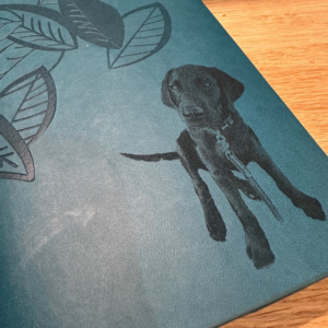 Instagram Posts NotesinaBook Puppy