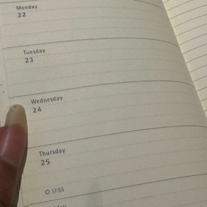 Instagram Posts NotesinaBook Weekly View